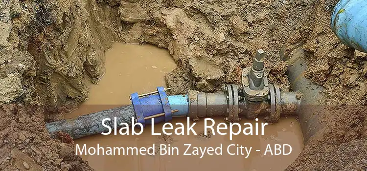 Slab Leak Repair Mohammed Bin Zayed City - ABD