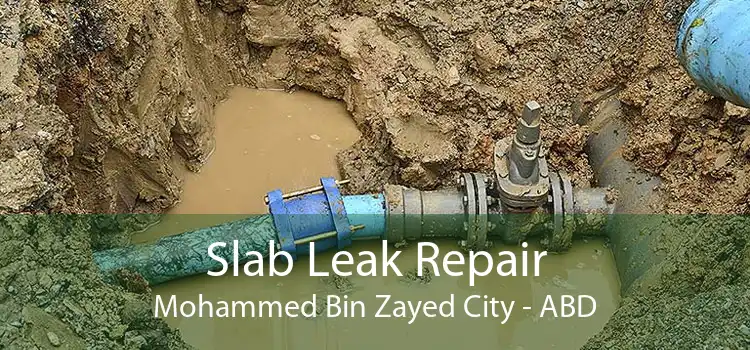 Slab Leak Repair Mohammed Bin Zayed City - ABD