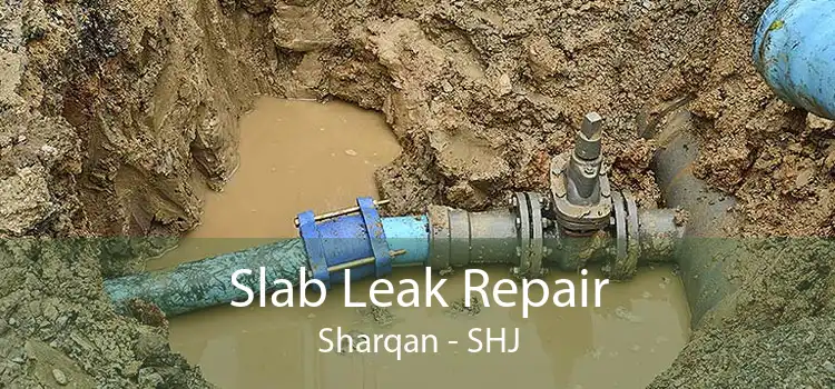Slab Leak Repair Sharqan - SHJ