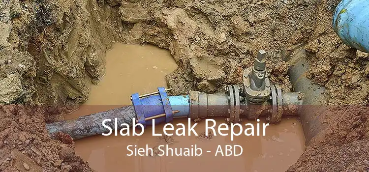Slab Leak Repair Sieh Shuaib - ABD