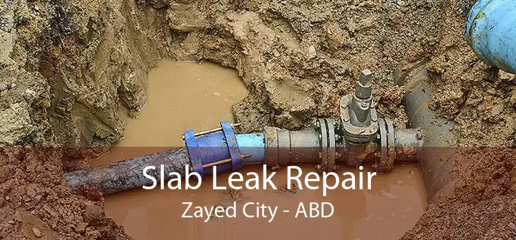 Slab Leak Repair Zayed City - ABD