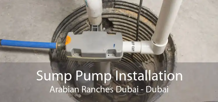 Sump Pump Installation Arabian Ranches Dubai - Dubai