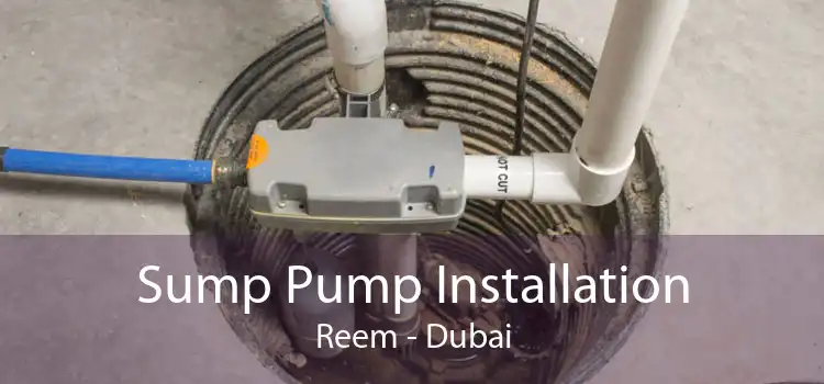 Sump Pump Installation Reem - Dubai