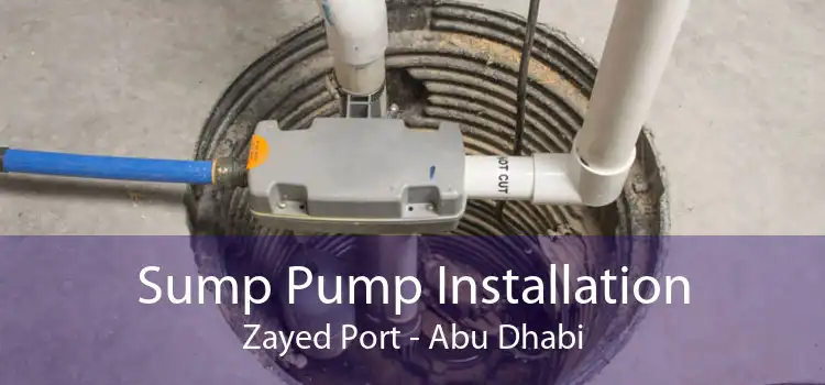 Sump Pump Installation Zayed Port - Abu Dhabi