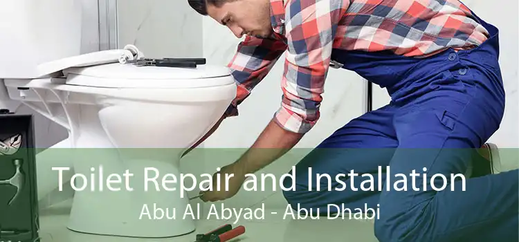 Toilet Repair and Installation Abu Al Abyad - Abu Dhabi