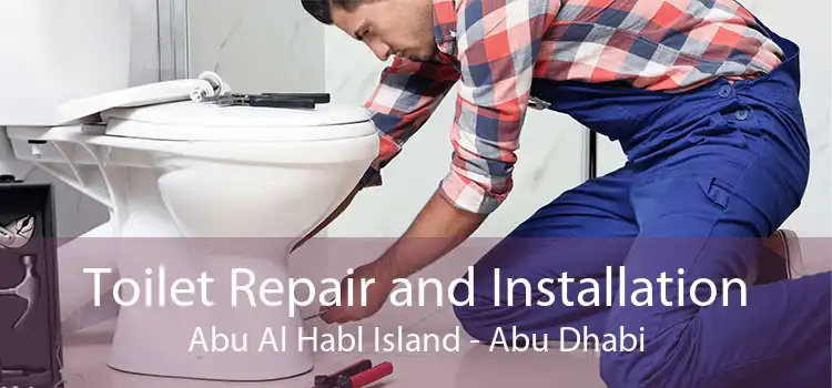 Toilet Repair and Installation Abu Al Habl Island - Abu Dhabi