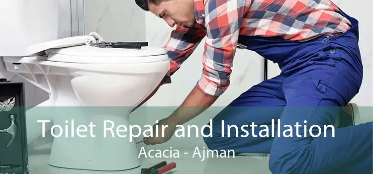 Toilet Repair and Installation Acacia - Ajman
