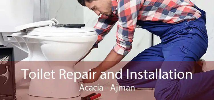 Toilet Repair and Installation Acacia - Ajman