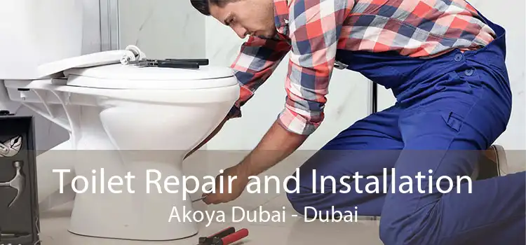 Toilet Repair and Installation Akoya Dubai - Dubai