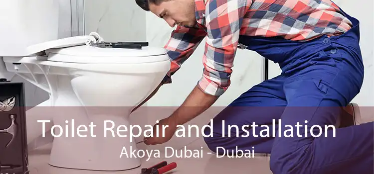 Toilet Repair and Installation Akoya Dubai - Dubai