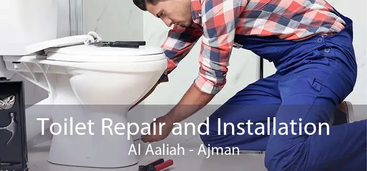 Toilet Repair and Installation Al Aaliah - Ajman