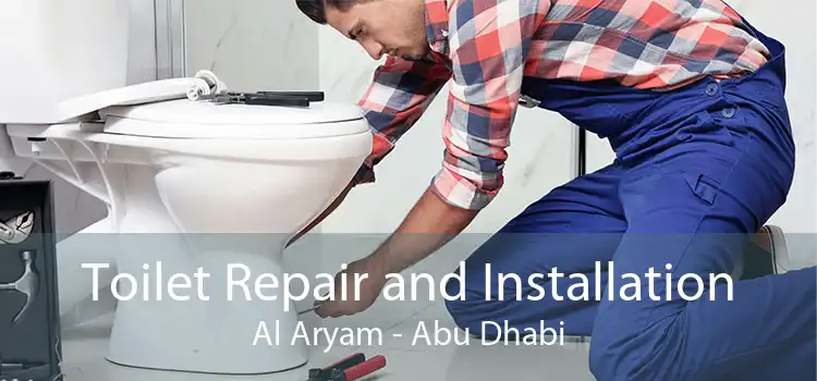 Toilet Repair and Installation Al Aryam - Abu Dhabi