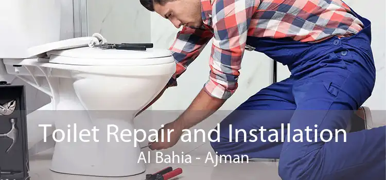 Toilet Repair and Installation Al Bahia - Ajman