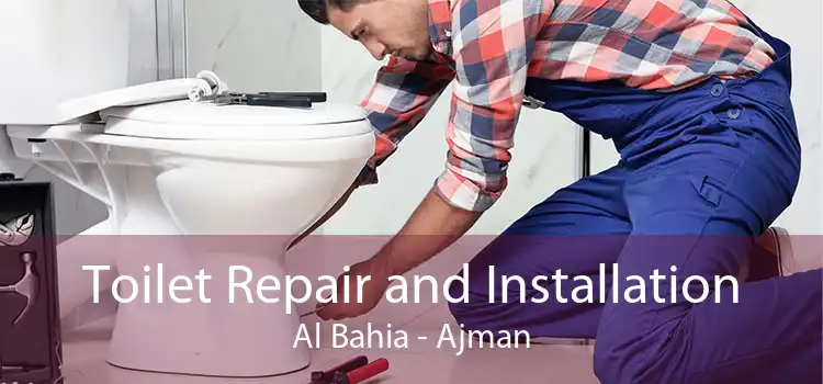 Toilet Repair and Installation Al Bahia - Ajman