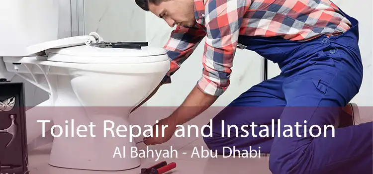 Toilet Repair and Installation Al Bahyah - Abu Dhabi