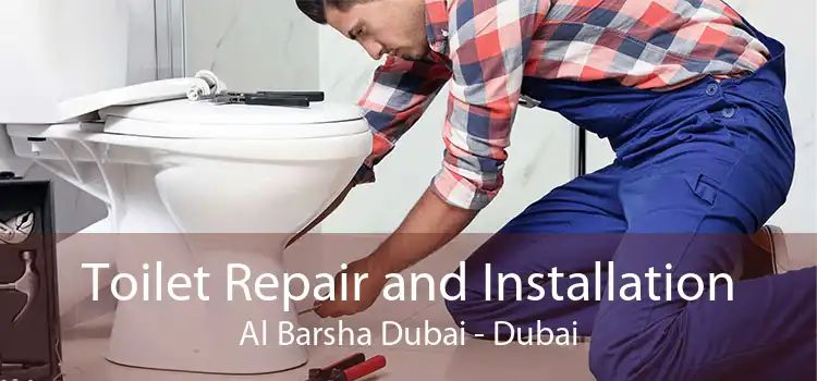 Toilet Repair and Installation Al Barsha Dubai - Dubai