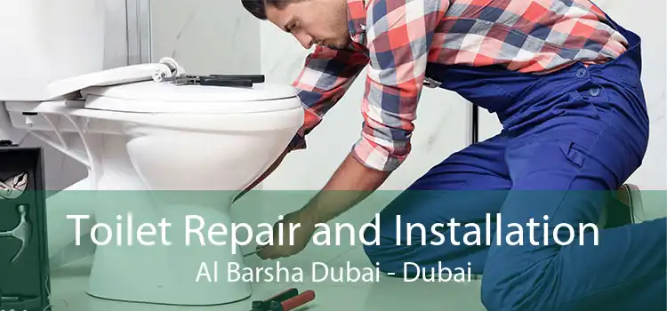 Toilet Repair and Installation Al Barsha Dubai - Dubai