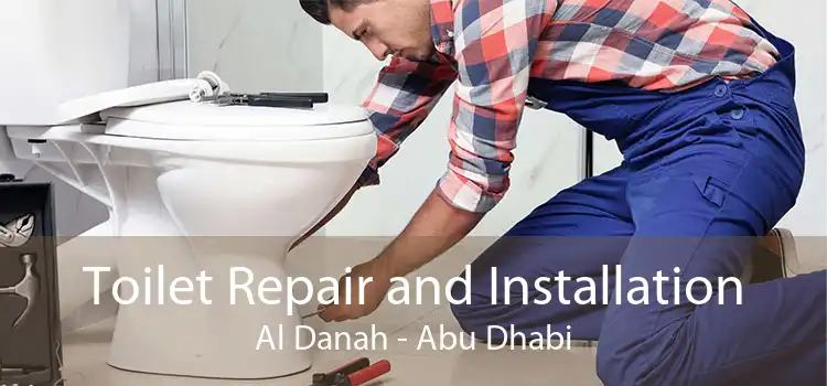 Toilet Repair and Installation Al Danah - Abu Dhabi