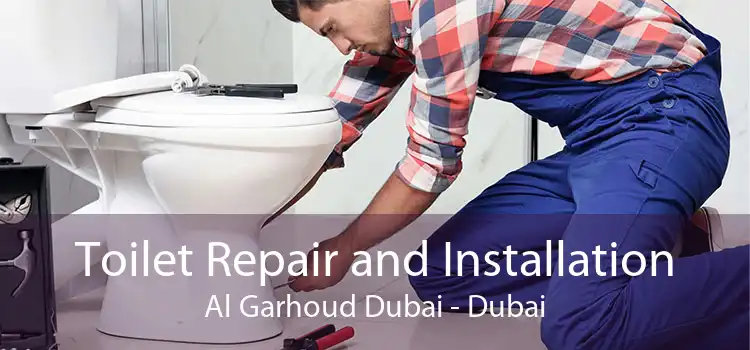 Toilet Repair and Installation Al Garhoud Dubai - Dubai