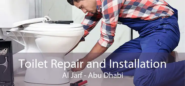 Toilet Repair and Installation Al Jarf - Abu Dhabi