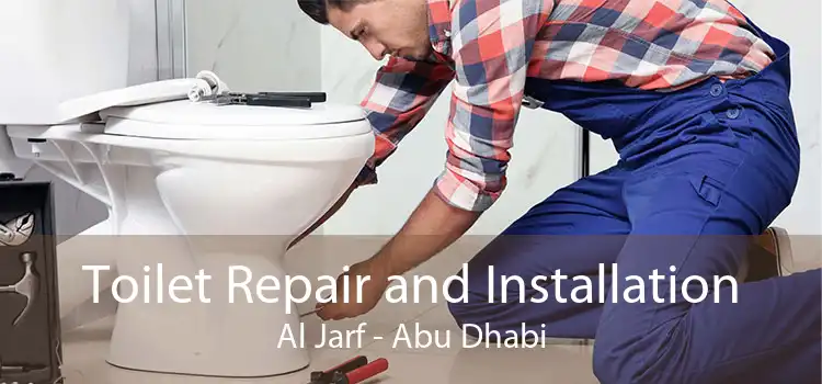 Toilet Repair and Installation Al Jarf - Abu Dhabi