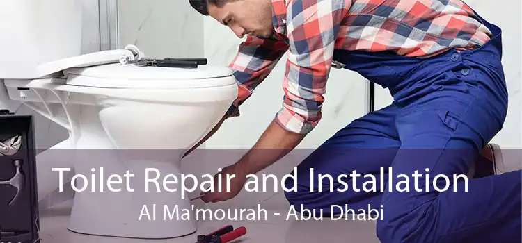 Toilet Repair and Installation Al Ma'mourah - Abu Dhabi