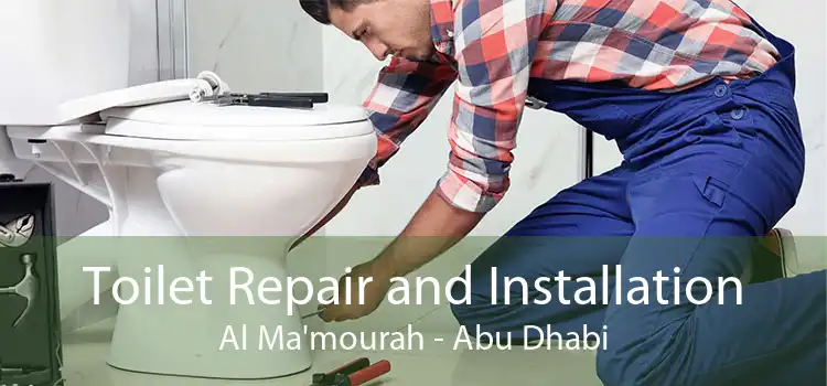 Toilet Repair and Installation Al Ma'mourah - Abu Dhabi