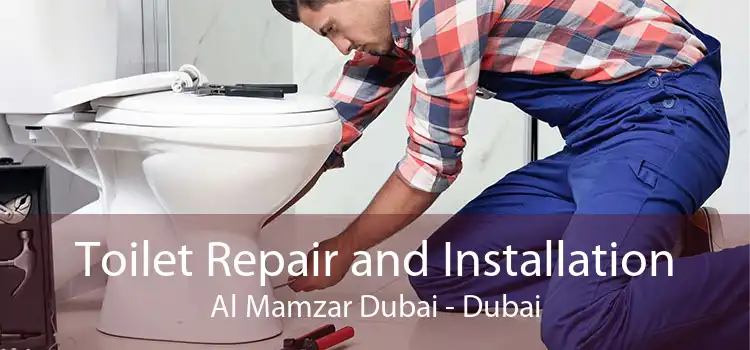 Toilet Repair and Installation Al Mamzar Dubai - Dubai