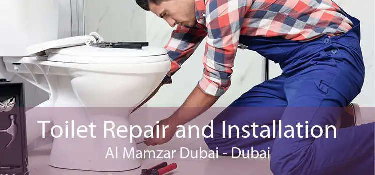 Toilet Repair and Installation Al Mamzar Dubai - Dubai