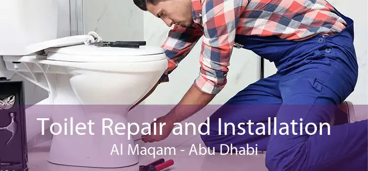 Toilet Repair and Installation Al Maqam - Abu Dhabi