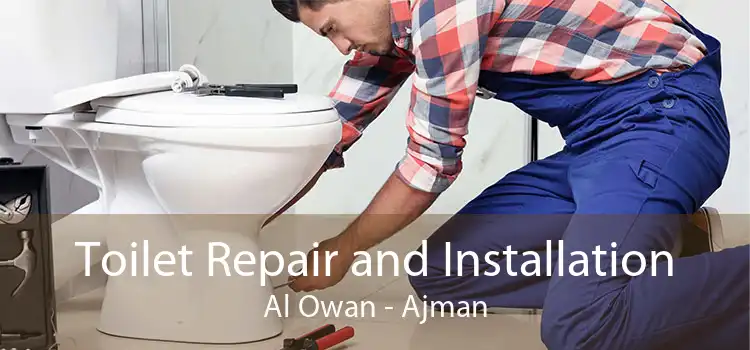 Toilet Repair and Installation Al Owan - Ajman