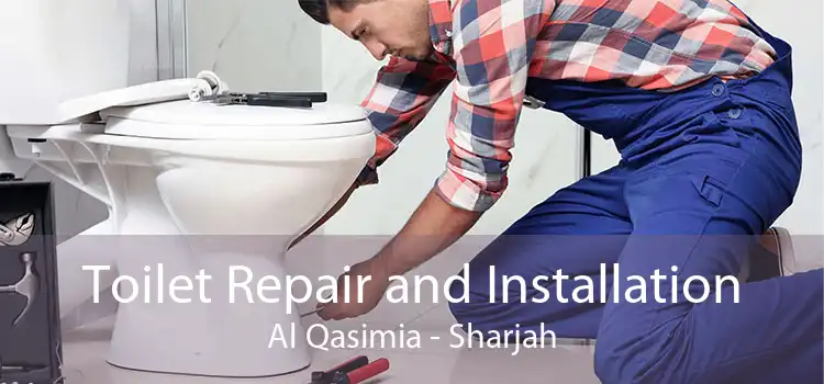 Toilet Repair and Installation Al Qasimia - Sharjah