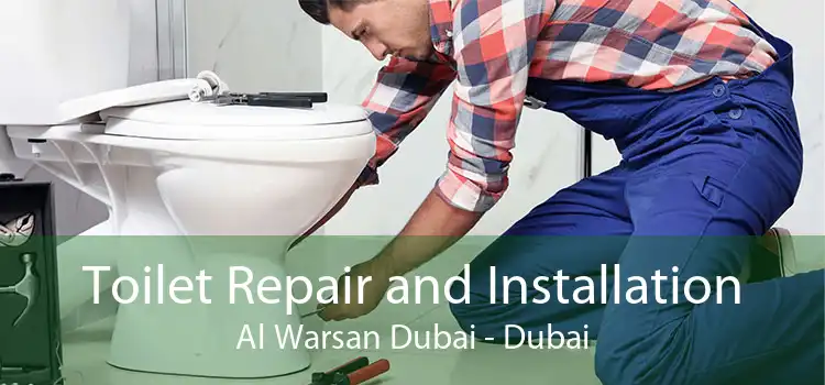 Toilet Repair and Installation Al Warsan Dubai - Dubai