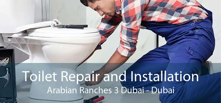 Toilet Repair and Installation Arabian Ranches 3 Dubai - Dubai