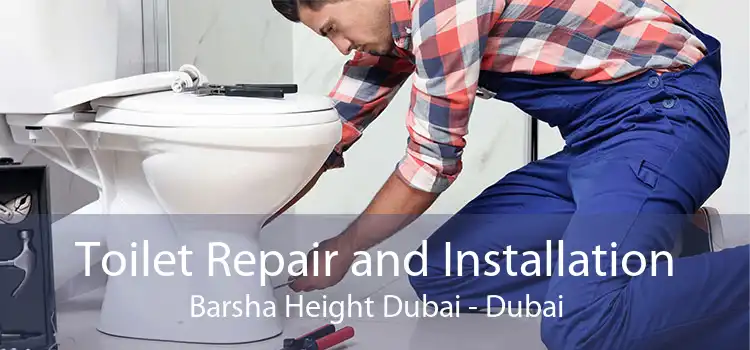 Toilet Repair and Installation Barsha Height Dubai - Dubai