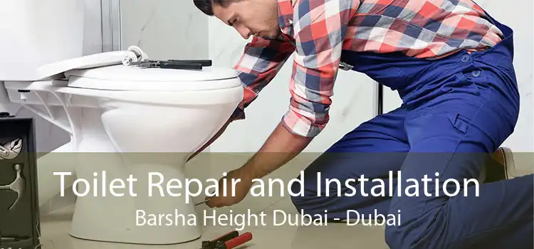 Toilet Repair and Installation Barsha Height Dubai - Dubai