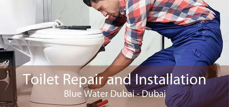 Toilet Repair and Installation Blue Water Dubai - Dubai