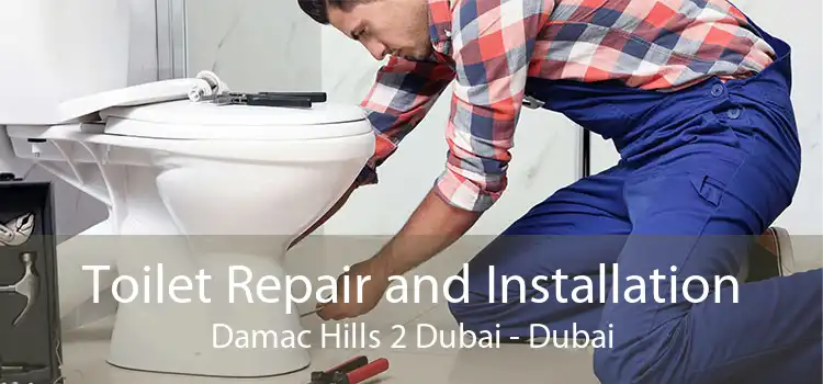 Toilet Repair and Installation Damac Hills 2 Dubai - Dubai