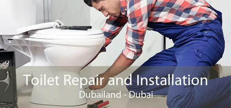Toilet Repair and Installation Dubailand - Dubai