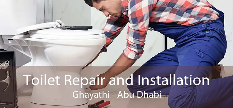 Toilet Repair and Installation Ghayathi - Abu Dhabi