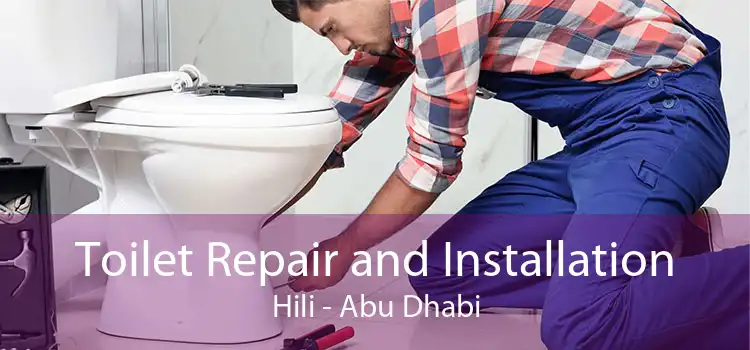 Toilet Repair and Installation Hili - Abu Dhabi