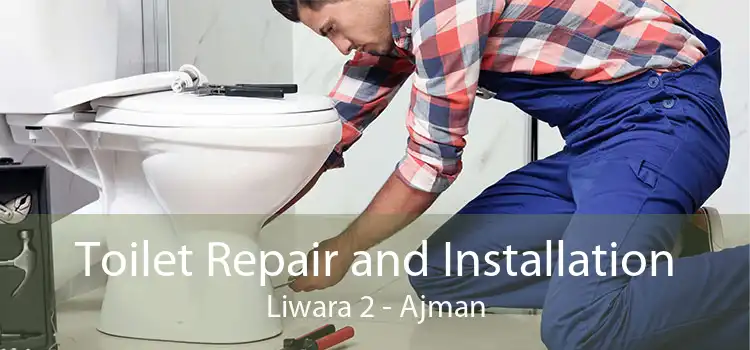 Toilet Repair and Installation Liwara 2 - Ajman