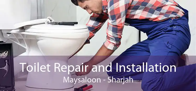 Toilet Repair and Installation Maysaloon - Sharjah
