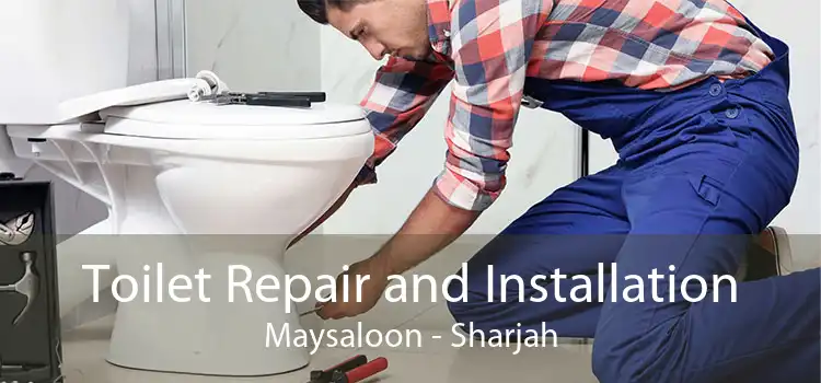 Toilet Repair and Installation Maysaloon - Sharjah