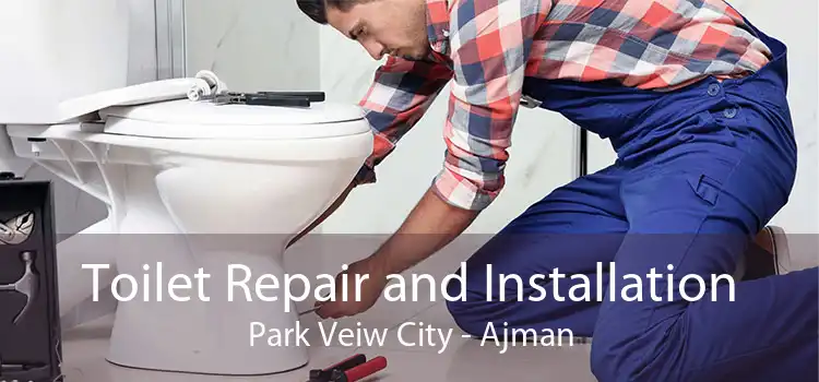 Toilet Repair and Installation Park Veiw City - Ajman