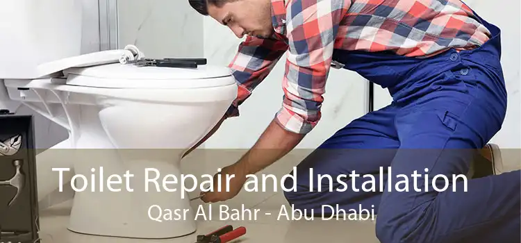 Toilet Repair and Installation Qasr Al Bahr - Abu Dhabi