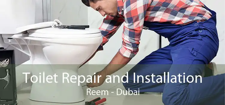 Toilet Repair and Installation Reem - Dubai