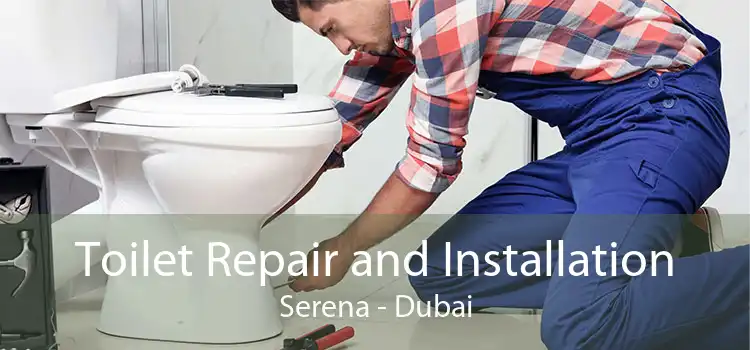 Toilet Repair and Installation Serena - Dubai