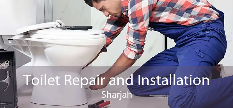 Toilet Repair and Installation Sharjah