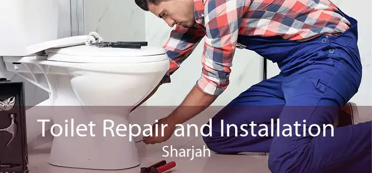 Toilet Repair and Installation Sharjah